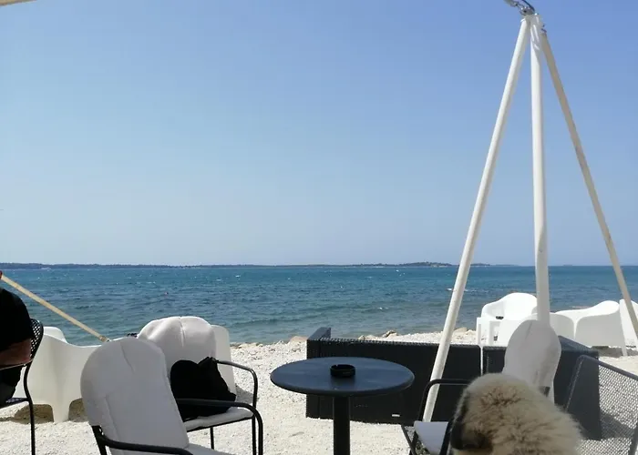 شقة Nena