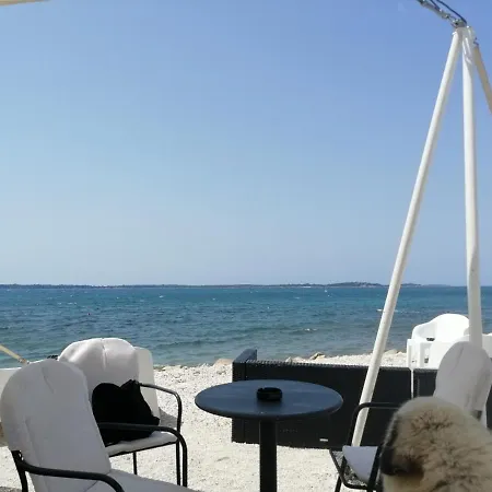 شقة Nena